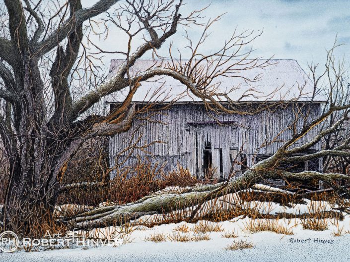 Robert Hinves - Abandoned Barn Near Fernwood Gardens