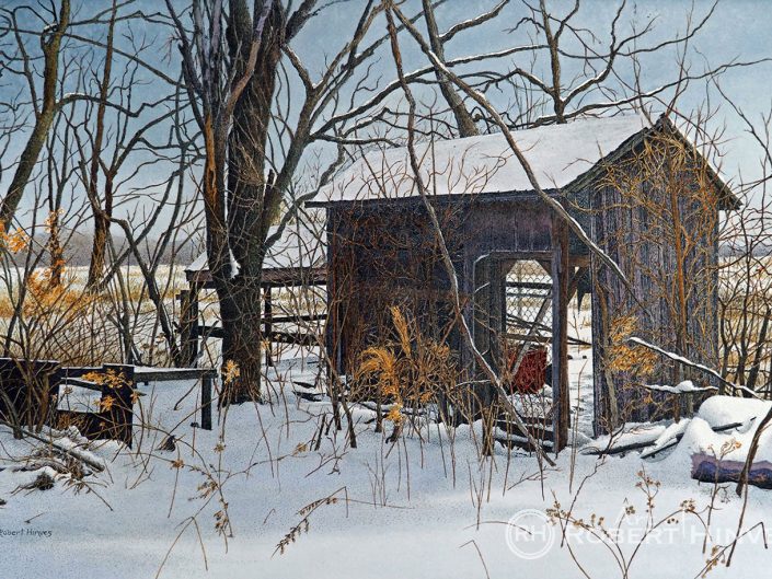 Robert Hinves - Bentley Carruthers Shed
