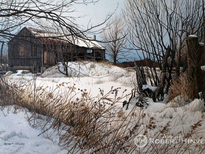 Robert Hinves - Winter in Prince Edward County
